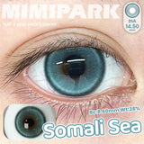 2pcs Half-Year Colored Contacts 14.5mm Glossy Natural Style for Daily Wear Cosplay High Moisture Lenses