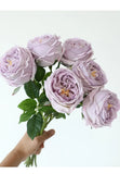 5pcs/lot True Touch Artificial Tea Rose Branch Wedding Floral Simulation Flowers Latex Austin Roses Fake Flower Hotel Decoration