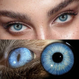 Yearly Disposable Cat Eyes Colored Contact Lenses 1 Pair Grey Brown Natural Small Pupil Beauty Makeup Color Contacts