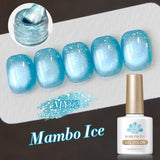 10ml Winter Water Light Cat Magnetic Gel Nail Polish Nail Supplies Vernis Semi Permanent Gel Christmas Xmas Gel