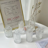 Glass Vase Ins Simple Desktop Decor Bottle Transparent Striped Flower Vases Hydroponic Terrarium Aromatherapy Bottles