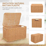 Woven Storage Basket Snack Containers Sundry Receiving Drawer with Lid Clothes Iron Frame Pp Rattan Multi-function Clothing