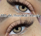 Color Pupils Soft Contact Lenses High Quality Brown Lenses Gray Beauty Pupils Blue Green Colored Lens Yearly Disposable