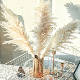 50-60cm Natural Fluffy Large Pampas Grass Wedding Arch Decor Dried Artificial Plants Pampas Home Decoration Outdoor Dry Flower