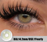 Fashion Colorful Eyes Contacts Colored Contact Lenses Yearly Blue Gray Beauty Pupils Brown Makeup Eyes Lenses 2pcs/pair