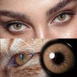 Yearly Disposable Cat Eyes Colored Contact Lenses 1 Pair Grey Brown Natural Small Pupil Beauty Makeup Color Contacts