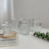 Glass Vase Ins Simple Desktop Decor Bottle Transparent Striped Flower Vases Hydroponic Terrarium Aromatherapy Bottles