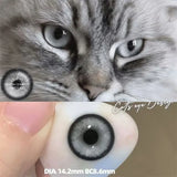 Yearly Green Iris Colored Contact Lenses 1 Pair with Natural Pupil Color And Prescription 0-8 Degrees Annual  Make Up