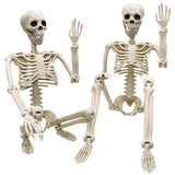 2 Pack 36"Halloween Skeleton - 3 ft Life Size Human Skeleton with Full Body Posable Joints Plastic Skeleton for Halloween Skele