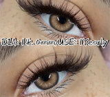 Color Pupils Soft Contact Lenses High Quality Brown Lenses Gray Beauty Pupils Blue Green Colored Lens Yearly Disposable