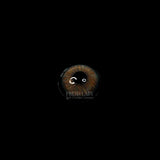 Contact Lenses |   Subtle Ash Brown Blend Beauty Lenses |   14.2mm Annual Disposable Color Lens for Dark Eyes 1 Pair