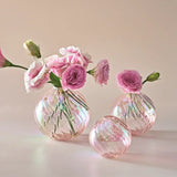 Iridescent Ball Vases Decoration Home Living Room Flower Pot for Interior Glass Vase Tabletop Plants Home Decor Home Vase