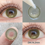 2PCS Fixed-Axis Lens Half Year Roasted Coconut Soft Contact Lenses Natural Highlight Black For Daily Makeup