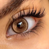 Colored Contact Lenses Lalens Viva Brown Blue Glacier Black Green Color Contacts Eye Lens Eyes Half Year 2Pcs