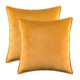 Set of 2 Velvet Throw Pillow Case Cushion Cover 30x50cm 45x45cm 50x50cm 60x60cm Home Decor Cojines Black Green Grey