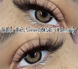 Color Pupils Soft Contact Lenses High Quality Brown Lenses Gray Beauty Pupils Blue Green Colored Lens Yearly Disposable