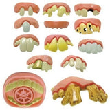 Fun - Set of 13 Rotten Dentures * Fun