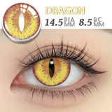 2pcs Halloween Colored Cosplay Contacts Lenses for Eyes Yearly Anime Lens Cosplay Eyes Contacts White Mesh Blind Lens