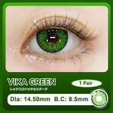Colored Contact Lenses Vika Brown Blue Green Color Contacts Eye Lens Eyes Half Year 2Pcs