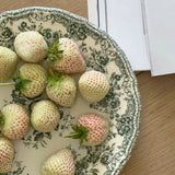 Nordic Flower Pattern Disc Dinner Plate Retro Ceramic Shallow Plate Dessert Plate Dinner Set Plates and Dishes
