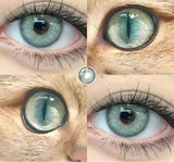 1Pair Color Contact Lenses New Product Lan Cat Sclera Blue Green Lenses Degree Prescription -0.00 to -8.00 Beauty Pupils