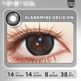 2pcs Half-Year Colored Contacts 14.5mm Big Diameter High Moisture Lenses for Daily Wear Cosplay Brown Grey Blue