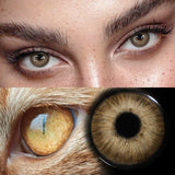 Yearly Disposable Cat Eyes Colored Contact Lenses 1 Pair Grey Brown Natural Small Pupil Beauty Makeup Color Contacts