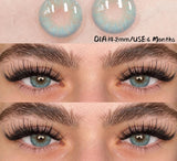 1pair New Color Contact Lenses Blue Eyes Lenses Natural Gray Eye Contact Brown Cosmetic Contact Green Lens 6 Months Use