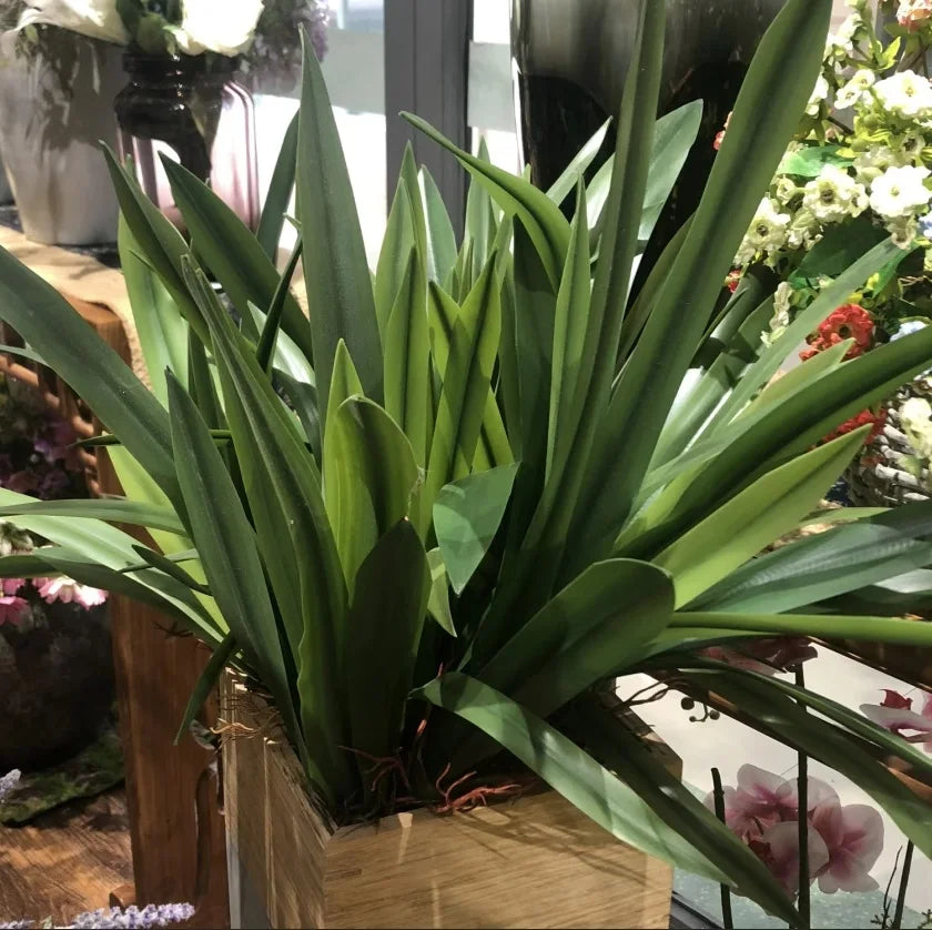 S M L Real Touch Gladiolus Cymbidium Hyridus Orchid Leaf  Whelan Floral Art Material High Grade Silicon Feel