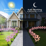1/2 PCS 15 LED Camellia Flower Outdoor Solar Lights Outdoor Waterproof Fairy Atmosphere Night Light Solar Powered Suitable