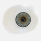 Blue Contact Lenses Natural Olive Tone Colored Contacts with Dark Limbal Ring Soft Cosmetic Eye Lenses