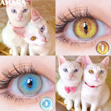 Cosplay Blue Color Contact Lenses for Eyes Yearly Makeup Halloween Beauty Yellow Contact Lenses Eye Cosmetic