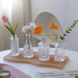 Glass Vase Ins Simple Desktop Decor Bottle Transparent Striped Flower Vases Hydroponic Terrarium Aromatherapy Bottles