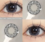  2pcs Korean Lenses Colored Contact Lenses for Eyes Grey Natural Prescription Myopia Soft Beauty Pupils 