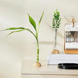 Nordic Transparent Plastic Vase Flower Arrangement Container Creative Hydroponic Plant Flower Vases Home Living Room Desk Decor