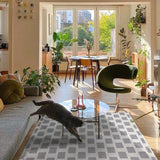 Checkerboard Carpet Modern Retro Living Room Large Area Trendy Bedroom Girl IG Decoration Fluffy Thick Soft Rug