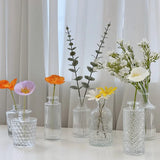 Glass Vase Ins Simple Desktop Decor Bottle Transparent Striped Flower Vases Hydroponic Terrarium Aromatherapy Bottles