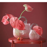 Glass Vase Hand Basket Bag Pink Clear Bottle Terrarium Flower Hydroponics Home Decoration Accessories Vases Pots
