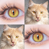 Cosplay Blue Color Contact Lenses for Eyes Yearly Makeup Halloween Beauty Yellow Contact Lenses Eye Cosmetic