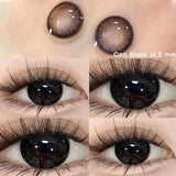 Color Contact Lenses for Eyes Korean Lens Natural Lenses Brown Lenses Blue Eye Contact Brown Big Eyes  Color Lens Eye