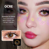 Color Contact Lenses for Eyes Nature Colored Lenses Colored Lenses Makeup Color Contact Lens Beauty Makeup 2PCS