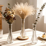 Nordic Striped Clear Glass Vase Simple Elegant Tabletop Decoration for Living Room Wedding Party Ornament