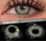2pcs Color Contact Lens for Eyes Chocolate Makeup Lens Natural Blue Gray Eyes Contact Brown Beauty Lenses Green Contact