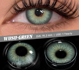 2pcs Color Contact Lens for Eyes Chocolate Makeup Lens Natural Blue Gray Eyes Contact Brown Beauty Lenses Green Contact