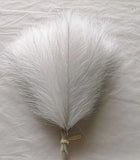 Faux Pampas Grass Beige 10PCS Small Artificial Pompas Grass Decor for Vase Fake Fluffy Pampas Fake Plant Wedding Boho Home Decor