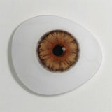 Colored Contact Lenses Cleopatra Gray Honey Blue Color Contacts Eye Lens Eyes Half Year 2Pcs