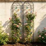 2 Packs Garden Trellis for Climbing Plants Flower Rustproof Metal Garden Flower Rose Trellis Landscaping Support Frame