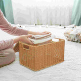 Woven Storage Basket Snack Containers Sundry Receiving Drawer with Lid Clothes Iron Frame Pp Rattan Multi-function Clothing