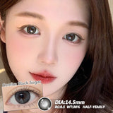 1 Pair Beauty 10 Colors Contact Lenses for Eyes Natural Pupil Color Lens Eyes for Myopia Free Shipping Half A Year Use