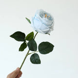 5pcs/lot True Touch Artificial Tea Rose Branch Wedding Floral Simulation Flowers Latex Austin Roses Fake Flower Hotel Decoration